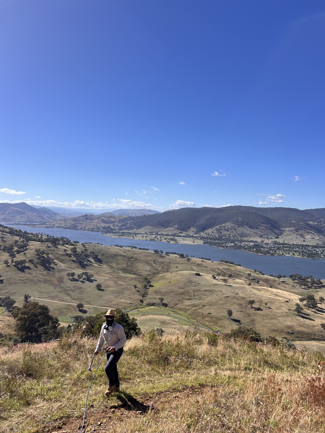 Worker in protective gear spraying weeds on a hillside with a scenic lake and mountains in the background